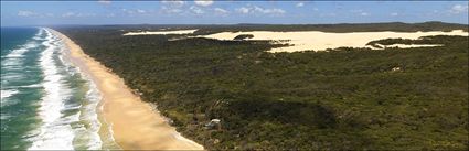 Fraser Island - QLD (PBH4 00 16225)